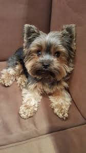 Looking for the best coffee pod machine australia has to offer? Pat Jackson Jackson0234 Profile Pinterest