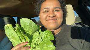 What is this lettuce and how do I harvest it?
