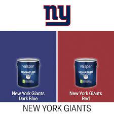 Giants Paint Project Kit At