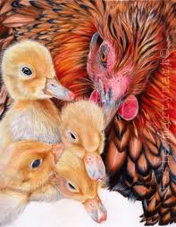 See more ideas about pencil drawings, drawings, color pencil drawing. Featured Artist Lesley Martyn Laptrinhx News