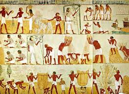tomb of menna 18th dynasty tomb of the nobles west bank luxor a k a ancient thebes agri ancient egyptian tombs egyptian art ancient egyptian art ancient egyptian tombs egyptian art