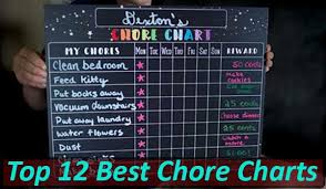 Top 12 Best Chore Charts In The Market Today 2019