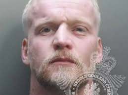 Builder jailed and dog to be destroyed after attacks