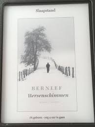 5 52 Kort Verhaal Over Maarten Klein Die In Korte Tijd Dement Wordt Verteld Vanuit De Ik Vorm Waardoor Je Als Lezer Wordt Meegen Korte Verhalen Roman Verhalen