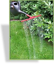 Wenn die ameisen in ihrem garten langsam lästig werden, müssen sie sie nicht gleich bekämpfen. Ameisen Ex Bio Nematoden