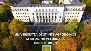 Studii De LicenÈ›Äƒ