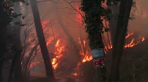 May 31, 2021 · pontedera — un incendio si è verificato nella notte a pardossi, nel panificio gne gne's bakery.a darne notizia è stata la titolare dell'attività. Monte Serra L Incendio E L Inizio Della Rinascita In Mostra A Vicopisano Ambiente Tgr Toscana