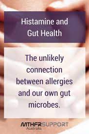 Histamine And Gut Health Mthfr Support Australia Improve Gut Health Gut Health Gut Health Recipes