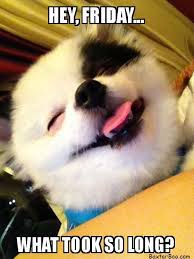 1.11 it's friday let's do this meme. Woot Woot Aire Serv Your Guide To Clean Comfortable Air Good Morning Puppy Friday Dog Friday Quotes Funny