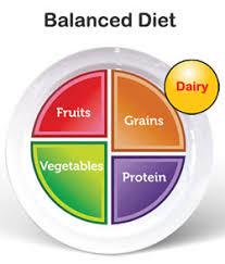 Balanced Diet Chart Healthy Nutrition Food Plan Veg