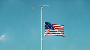 The name america is derived from that of amerigo vespucci note: The Coronavirus Revealed America S Failures The Atlantic