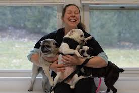 East Bradford Veterinary Hospital West Chester Pa Veterinarian