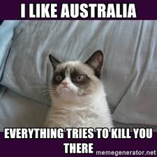 I like australia Everything tries to kill you there - tard the grumpy cat 2  | Meme Generator