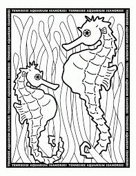 Give your little ones something to color christmas morning. Seahorse Coloring Pages For Kids Coloring Home