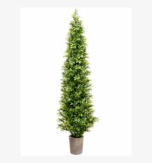 Real topiary trees in pots. 35 Podocarpus Topiary Tree In Cement Pot Green Christmas Tree 800x800 Png Download Pngkit