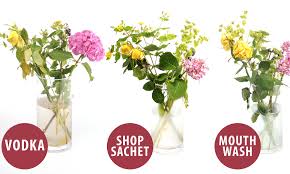 Coke is not generally used to make flowers last longer. Keep Flowers Fresh By Treating Them To Vodka Bleach Lemonade Or Aspirin Daily Mail Online