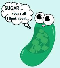 Virtual Organelle Speed Dating Speed Dating Falling For Someone Create Website