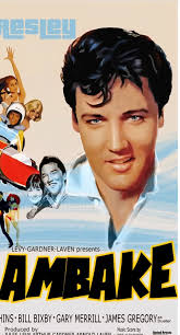 Are you an Elvis fan?