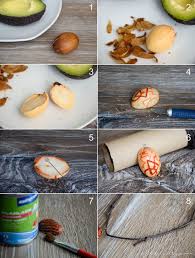 Kettenanhanger Aus Avocado Kern Schnitzen Filizity Com Holzschmuck Selber Machen Avocado Kerne Schnitzen