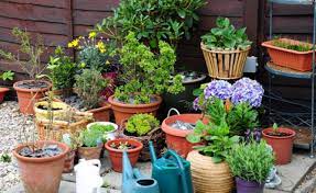 These can be placed on apartment balconies, small porches, or even in your yard. Container Gardening 35 Of The Best Blogs