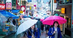 And the rain animation is easily one the best i ever seen. Japan S Rainy Season Tsuyu What To Expect When It Ll Come Things To Do And More Tsunagu Japan