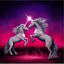 (no offense)any who there are actually 5 types of unicorns. Twin Unicorns Unicorn And Fairies Unicorn Pictures Unicorn Fantasy