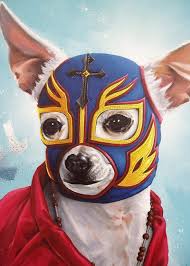 Chihuahua Costumes Lucha Libre Buscar Con Google Mexican Art Luchador Mexican Wrestler