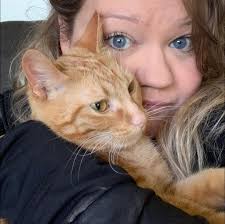 Rehoming 2-year-old indoor cat Juniper in Washington state