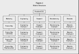 prototypical company organisation chart example general