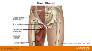 Image result for sore skin in the groin area