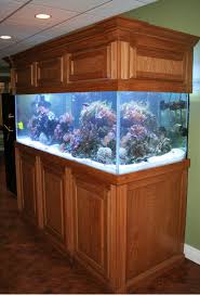 245 Gallon Starphire Mediterranean Ultimate Aquarium Package With Images Amazing Aquariums Home Aquarium Fish Tank