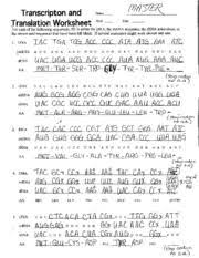 More protein synthesis interactive worksheets. Transcription And Translation Answer Key Success Transcription And Translation Dna Transcription And Translation Persuasive Writing Prompts