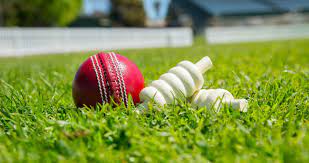Tips to choosing the best Cricket Betting Sites