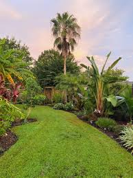 Maybe you would like to learn more about one of these? Florida Gardening Anyone From Central Fl Here 2 By Rbryant751