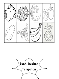 Langkah pertama diprasekolah lembaran kerja tema bunga dan tumbuh tumbuhan. Buah