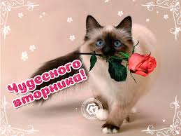 pin na doske krutart otkrytki na vse sluchai zhizni