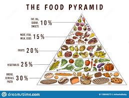 Healthy Food Plan Pyramid Infographics For Balanced Diet