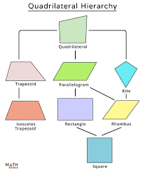 A quadrilateral with vertices,, and is sometimes denoted as. Quadrilateral Hierarchy