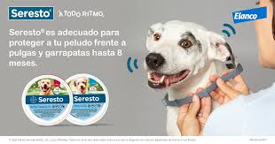 Maybe you would like to learn more about one of these? Seresto Espana Home Facebook