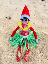Pin By Danielle Burrascano On Elf On The Shelf Ideas Hawaiian Christmas Elf On The Shelf Elf