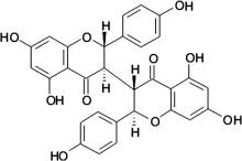 Image result for Ormocarpum kirkii