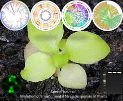 It provides a structural framework to support plant growth and acts as the first line of defense when the cell wall must also retain some flexibility, such that when subjected to developmental, biotic, or abiotic stimuli it can be rapidly remodeled in response. Plant Cell Environment