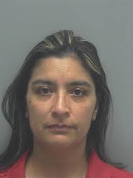 Lee County Arrests 2/3