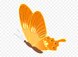 If you like, you can download pictures in icon format or directly in png image format. Aesthetic Butterfly Gif Gif Clip Art Butterfly Png Free Transparent Png Images Pngaaa Com