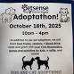 Adoption Event at Petsense by Tractor Supply - Petsense by Tractor Supply, 2477 Memorial Dr Event Image