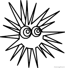 Collection of sea urchin coloring page (35). Sea Urchin Coloring Pages Coloringall