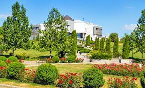 Tigru siberian, operat direct in cusca sa de la gradina zoologica din galati. GrÄƒdina BotanicÄƒ Din OraÈ™ul GalaÈ›i JudeÈ›ul GalaÈ›i Locuridinromania Ro