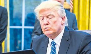 President Trump's Israeli Palestinian Peace Plan Wreaked Havoc