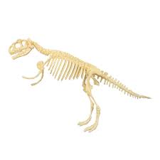 The best way to have fun with the family. Buy Novelty Dinosaur Skeleton Figure Diy Jigsaw Puzzles Kit Toy Triceratops At Affordable Prices Free Shipping Real Reviews With Photos Joom