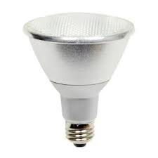 Halco Lighting Technologies 60 Watt Equivalent 10 Watt Par30 Long Neck Dimmable Led Flood White Soft White Light Bulb 3000k 82959 Par30fl10l 830 Eco2 Led 82959 The Home Depot